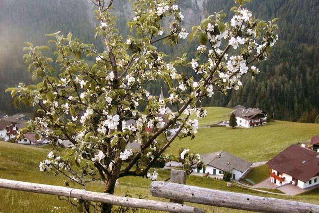 Agriturismo Apartments Tuene Ortisei Ngoại thất bức ảnh